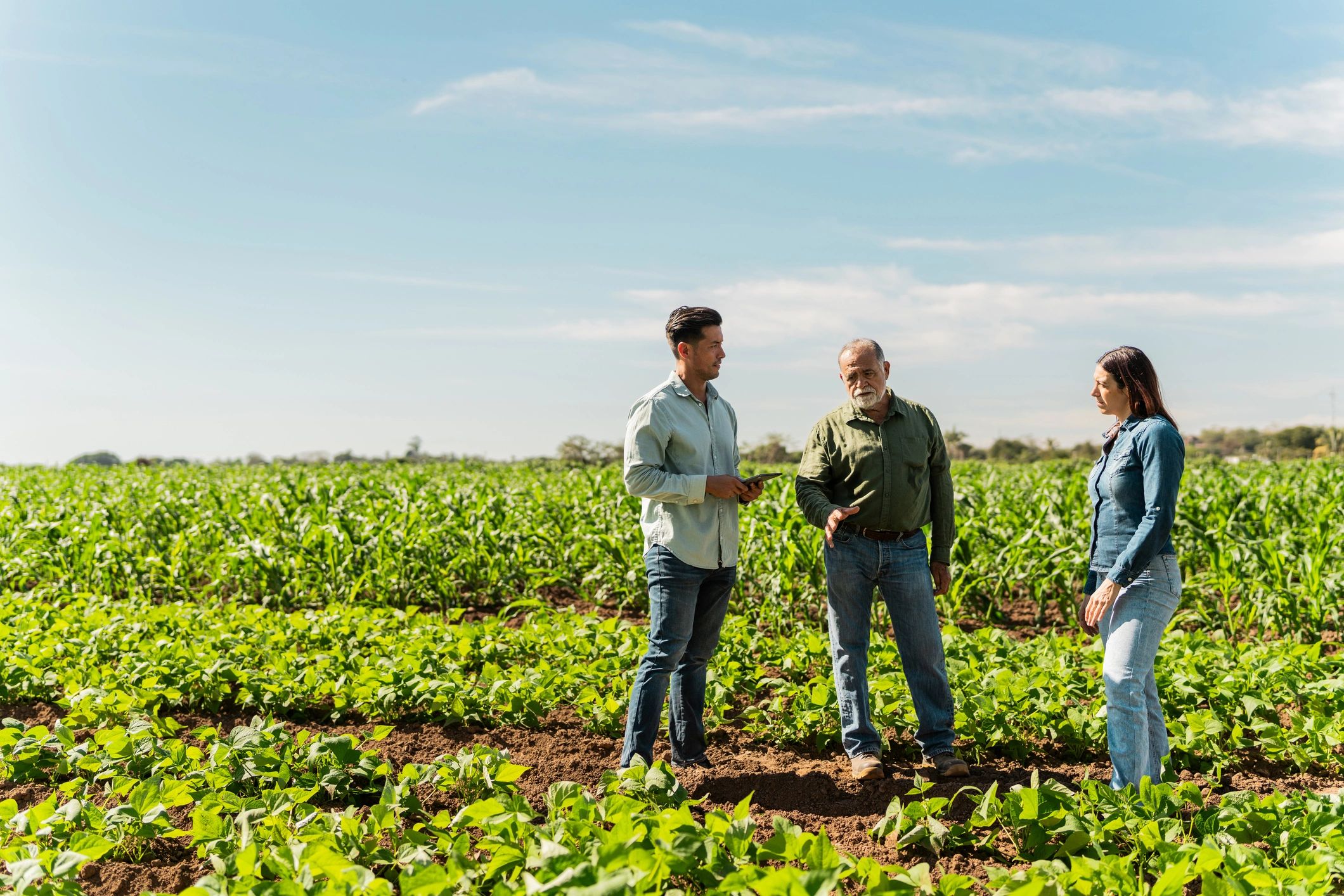 farm team agriculture
