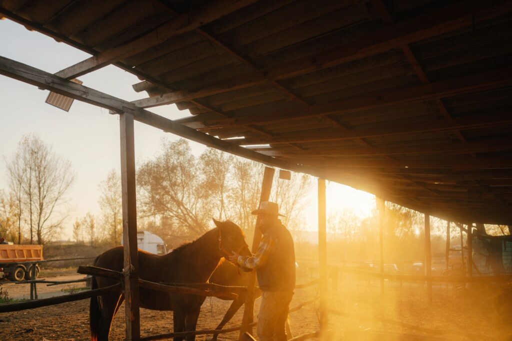 horse boarding farm outdoor barn sunrise